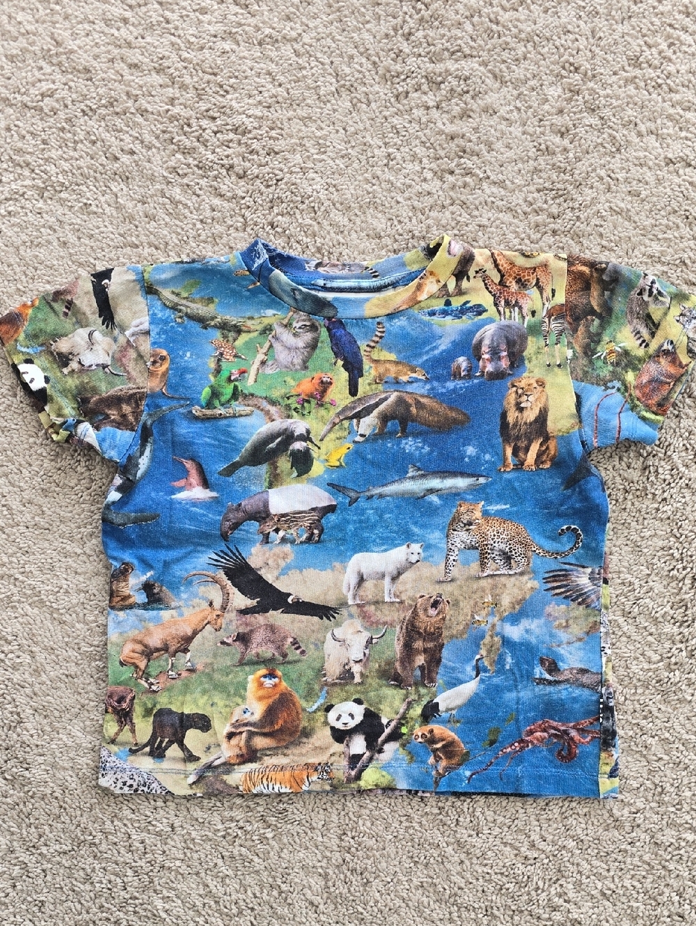 Molo Short Sleeve Size 104